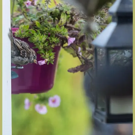 The At Solway View Bed & Breakfast Cockermouth