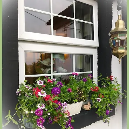 The At Solway View