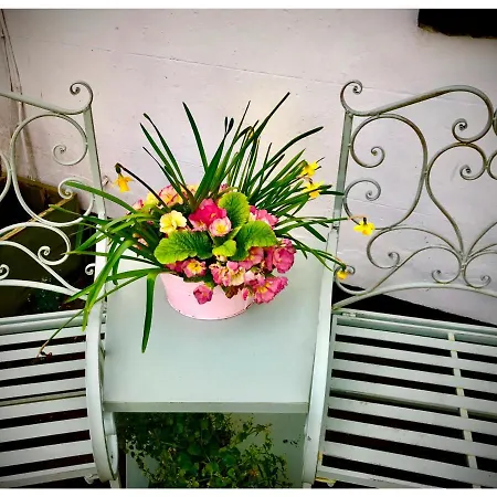 Bed & Breakfast The At Solway View Cockermouth
