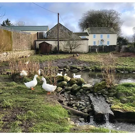 The At Solway View Bed & Breakfast Cockermouth