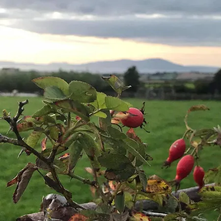 The At Solway View Bed & Breakfast Cockermouth